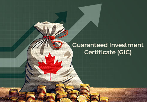 Study Abroad Consultants